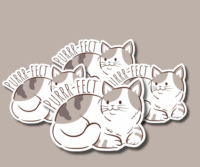 Cat Purrfect Sticker for Cat Lover Sticker Fluffy Cat Sticker for Cat Owner Sticker Chubby Cat Sticker Cute Tab Cat Sticker Kawaii Cat