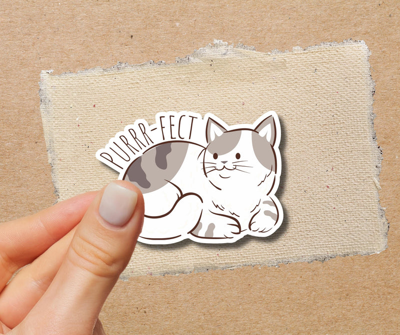 Cat Purrfect Sticker for Cat Lover Sticker Fluffy Cat Sticker for Cat Owner Sticker Chubby Cat Sticker Cute Tab Cat Sticker Kawaii Cat